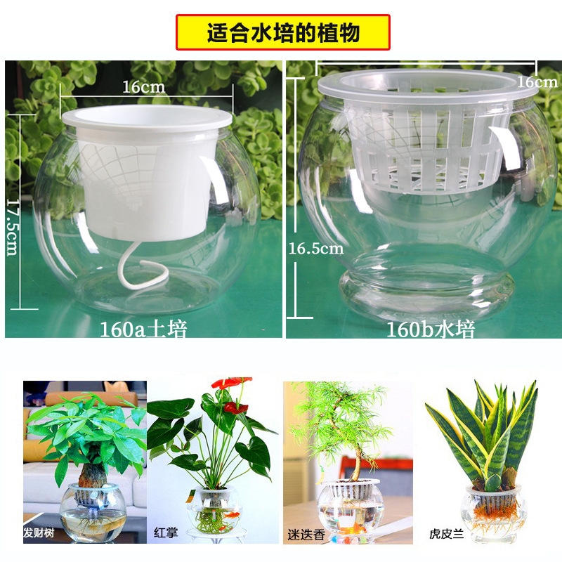 透明水培塑料花瓶绿萝水生植物植物容器室内桌面摆放花盆多个大小 - 图0
