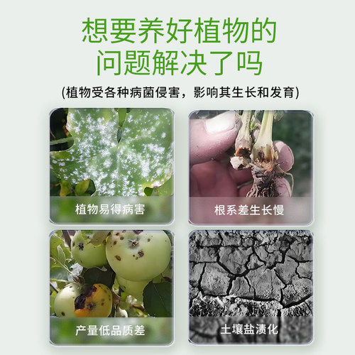施可丰微生物菌剂月季花卉绿植养花通用型盆栽植物杀菌肥料菌菌净 - 图3