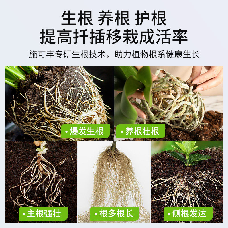 施可丰生根粉植物通用快速生根剂壮苗强力发根扦插树木移栽根多多,淘宝优惠券,粉丝福利购,淘宝优惠卷
