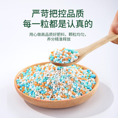 施可丰缓释肥颗粒通用型复合肥兰花多肉花卉专用肥料家用盆栽花肥 - 图1