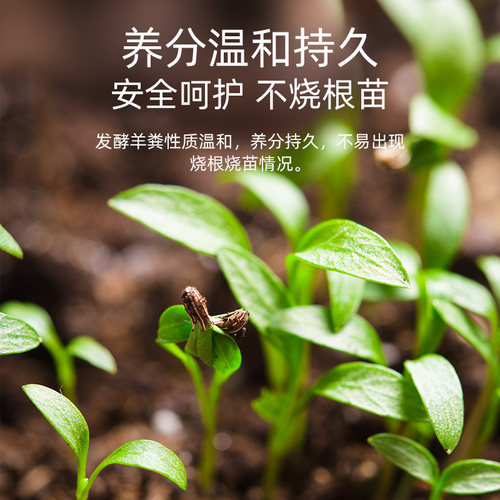 施可丰羊粪发酵有机肥生物纯羊粪有机肥料蔬菜专用花肥料花卉通用 - 图1