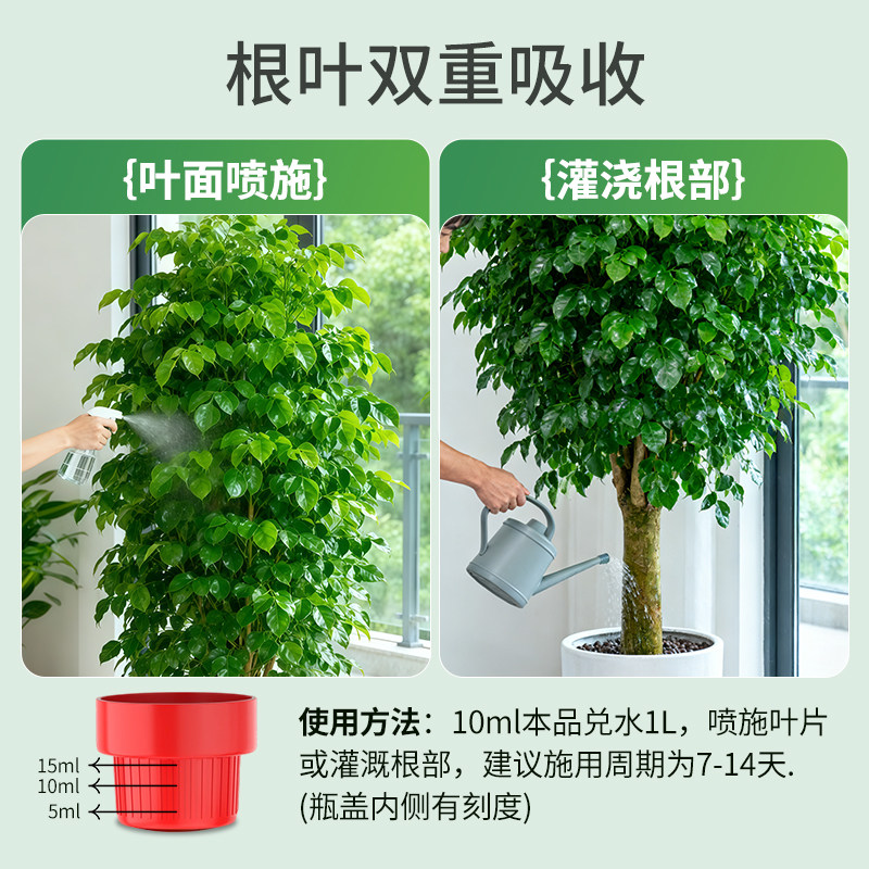 施可丰幸福树专用营养液肥料专治叶子干枯落叶阳台绿植盆栽植物用,淘宝优惠券,粉丝福利购,淘宝优惠卷