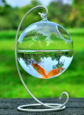 Round/Rectangle Shape Hanging Glass Aquarium Fish Tank Fish