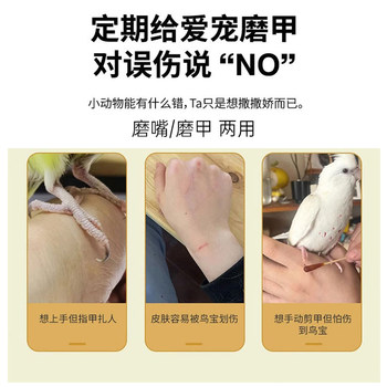 ເຄື່ອງຕັດເລັບພິເສດ Parrot beak grinder bird nail clipper pet small electric black phoenix tiger skin peony nail clipper supplies