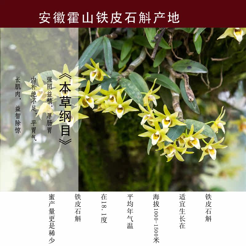 感蜂堂铁皮袋装纯正天然无添加蜂蜜 感蜂堂保健食品蜂蜜