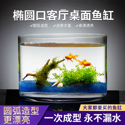 椭圆口玻璃鱼缸长方形客厅小型金鱼缸创意水族箱家用生态造景装饰 - 图0