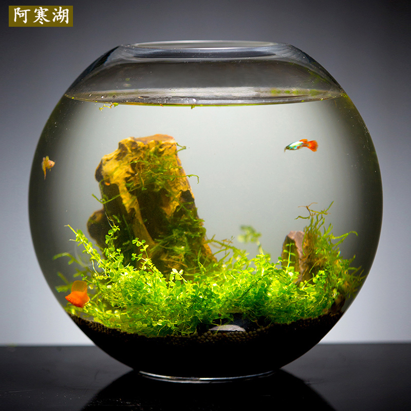 鱼缸客厅大型圆球形中小型桌面玻璃金鱼缸生态造景水族箱家用招财-图0