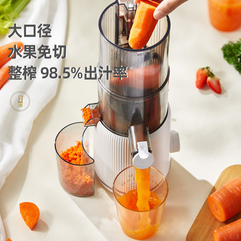 摩动汁渣分离家用炸水果汁榨汁机 摩动榨汁机