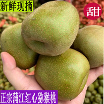 Authentic Pujiang Farmhouse Red Yang Red Hearts Kiwi Fruits Fresh Natural Ripends Ripe For Season Fruit Whole Boxes Kiwi Fruits