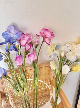 3头爱丽丝鸢尾花仿真花假