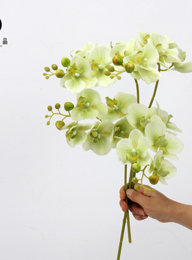 仿真花手感保湿小蝴蝶兰