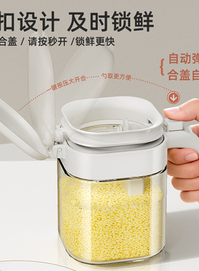 家用调料罐瓶厨房密封盐