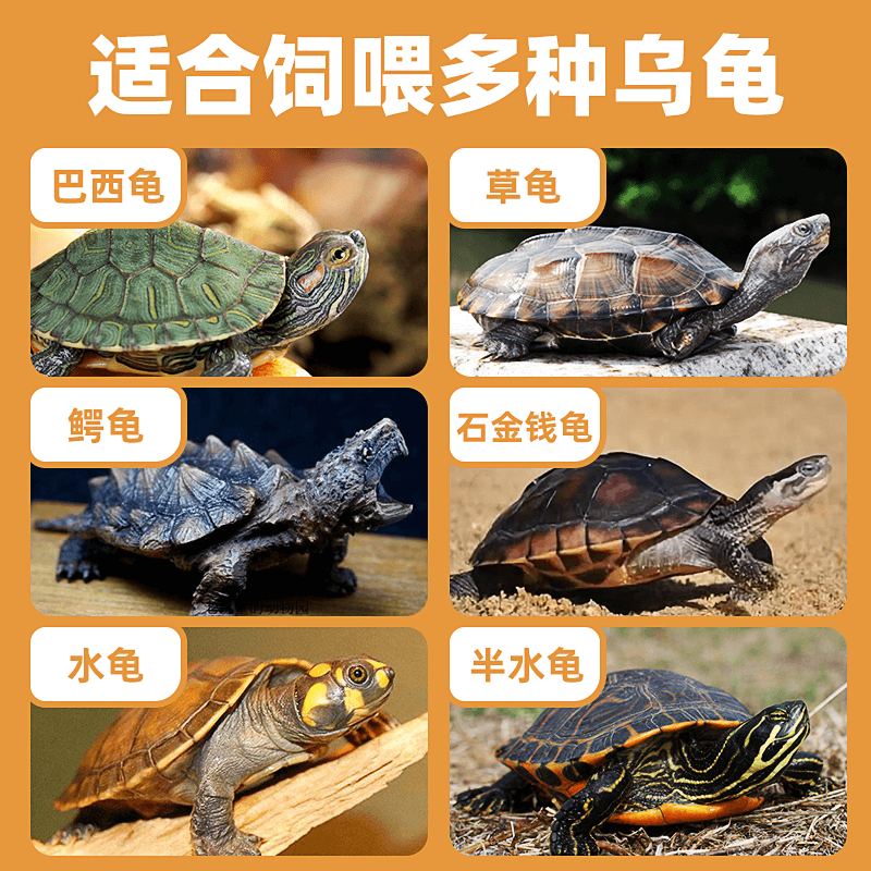 龟粮乌龟饲料淡水虾干小鱼干面包虫巴西龟草龟虾皮鳄龟冻干虾龟料,淘宝优惠券,粉丝福利购,淘宝优惠卷