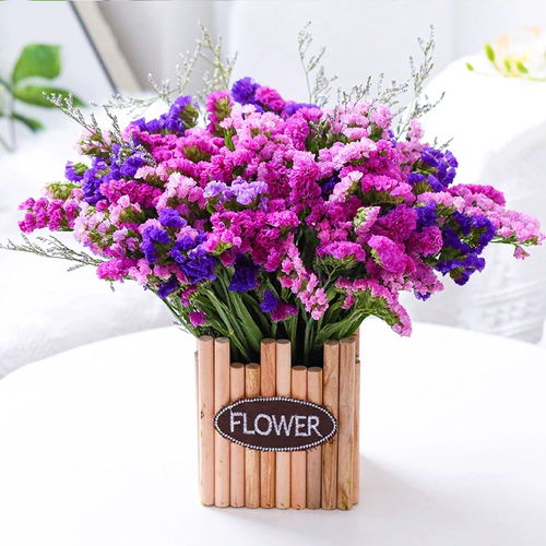 Забудьте меня, звезды сухие цветы Букт настоящие цветы натуральные свежие свежие гостиные мебель