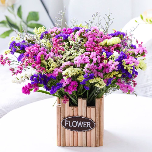 Забудьте меня, звезды сухие цветы Букт настоящие цветы натуральные свежие свежие гостиные мебель