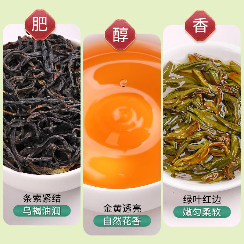 陈一凡鸭屎香凤凰单丛 茶叶广东潮州乌龙茶凤凰单枞新茶春茶罐装 - 图0