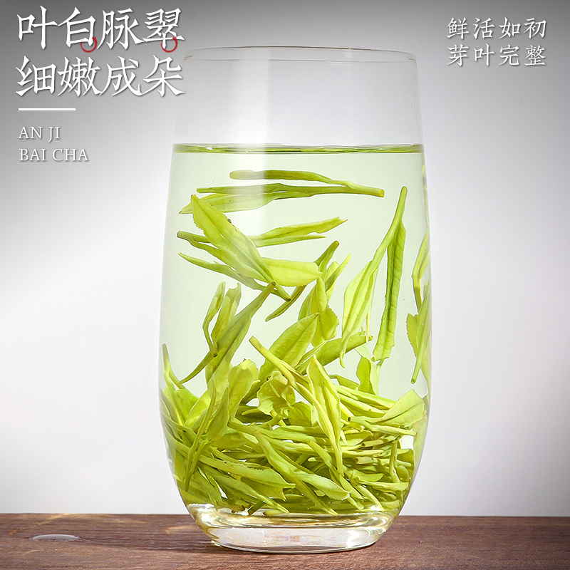 陈一凡2024新茶预售正宗安吉白茶明前特级绿茶安吉茶叶散装250g-图3