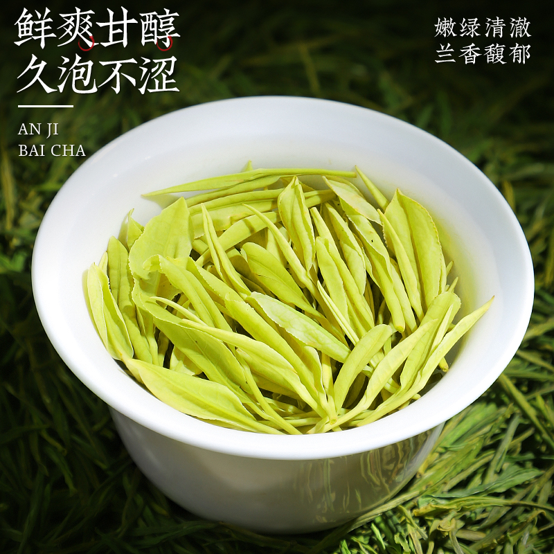 陈一凡2024新茶预售正宗安吉白茶明前特级绿茶安吉茶叶散装250g-图1