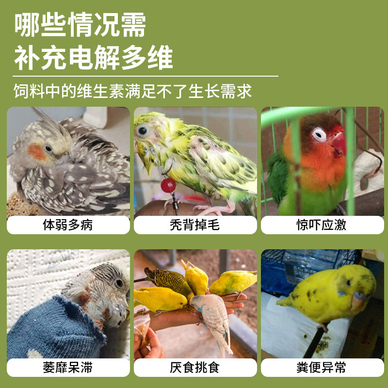 鸽用多维电解质赛鸽赛信鸽子补肝强肾专用排酸营养保健调理品专用