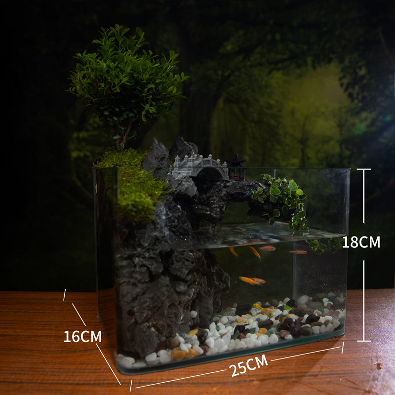 赤楠山水缸真绿植室内桌面生态水陆景观植物造景带流水过滤福建茶,淘宝优惠券,粉丝福利购,淘宝优惠卷