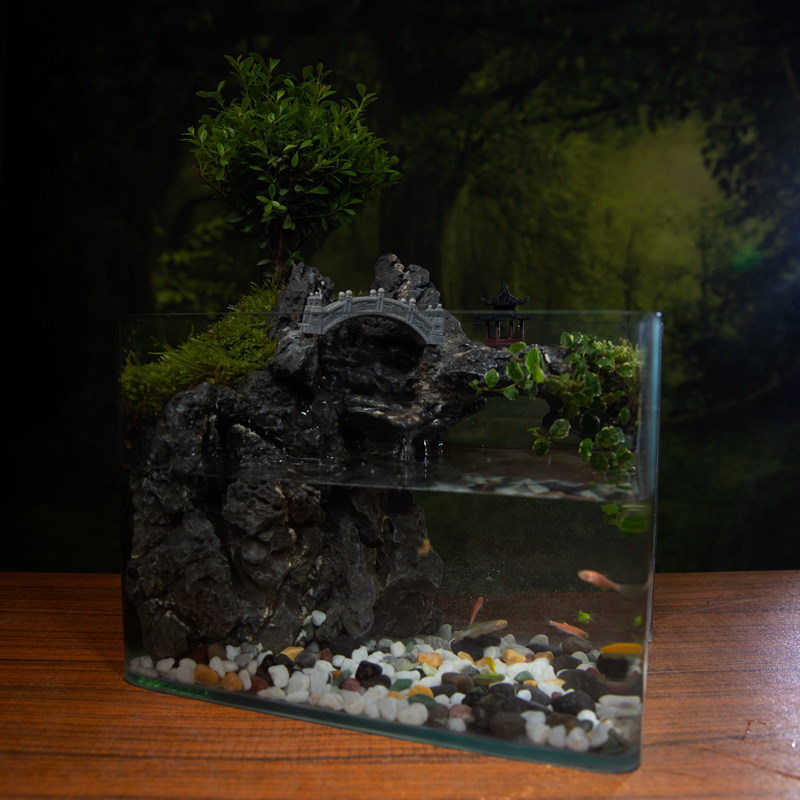 赤楠山水缸真绿植室内桌面生态水陆景观植物造景带流水过滤福建茶,淘宝优惠券,粉丝福利购,淘宝优惠卷