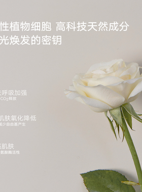 紧致抗皱十五元素白玫瑰精华霜