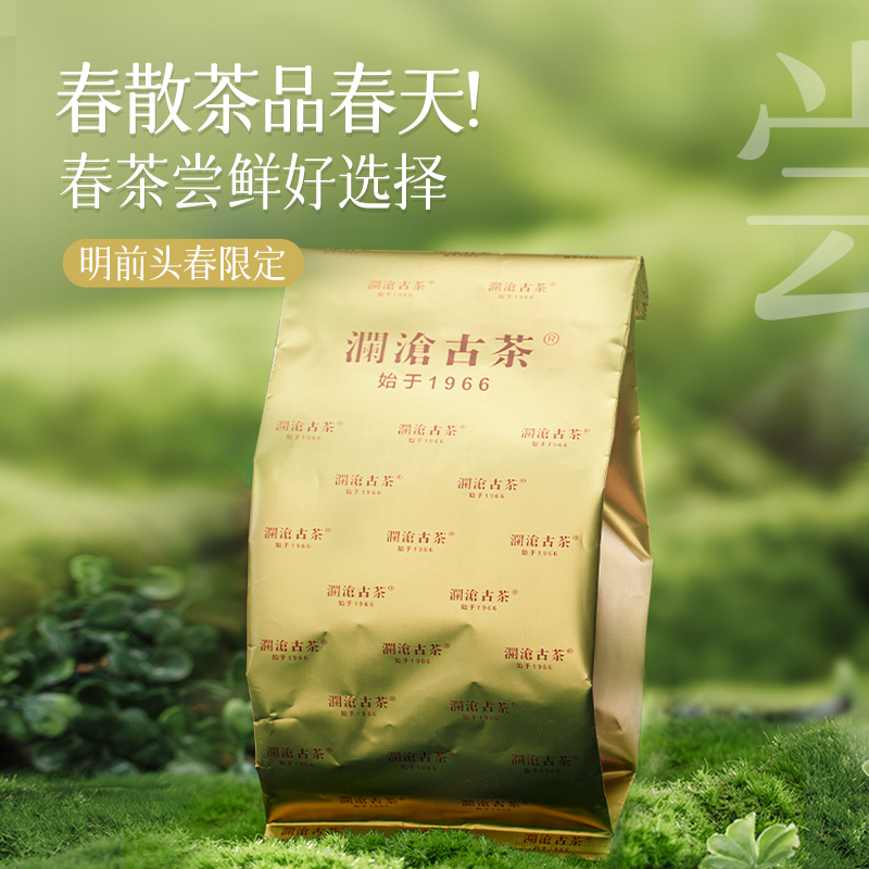 【新品现货】澜沧古茶2024年景迈之春云南景迈山明前春茶散茶50g - 图2