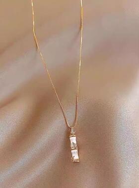 高端竹节项炼新款爆款轻奢锁骨炼小众高级感女生日情人节礼物配饰