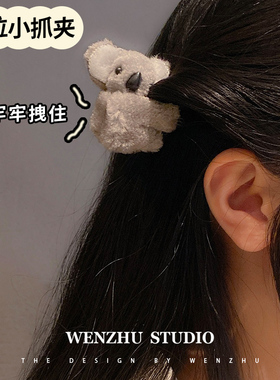 抓夹韩国简约可爱刘海碎发夹子