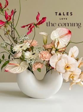 Thecoming花瓶花器插花鲜花艺术元宝双口瓶陶瓷花瓶装饰摆件礼物