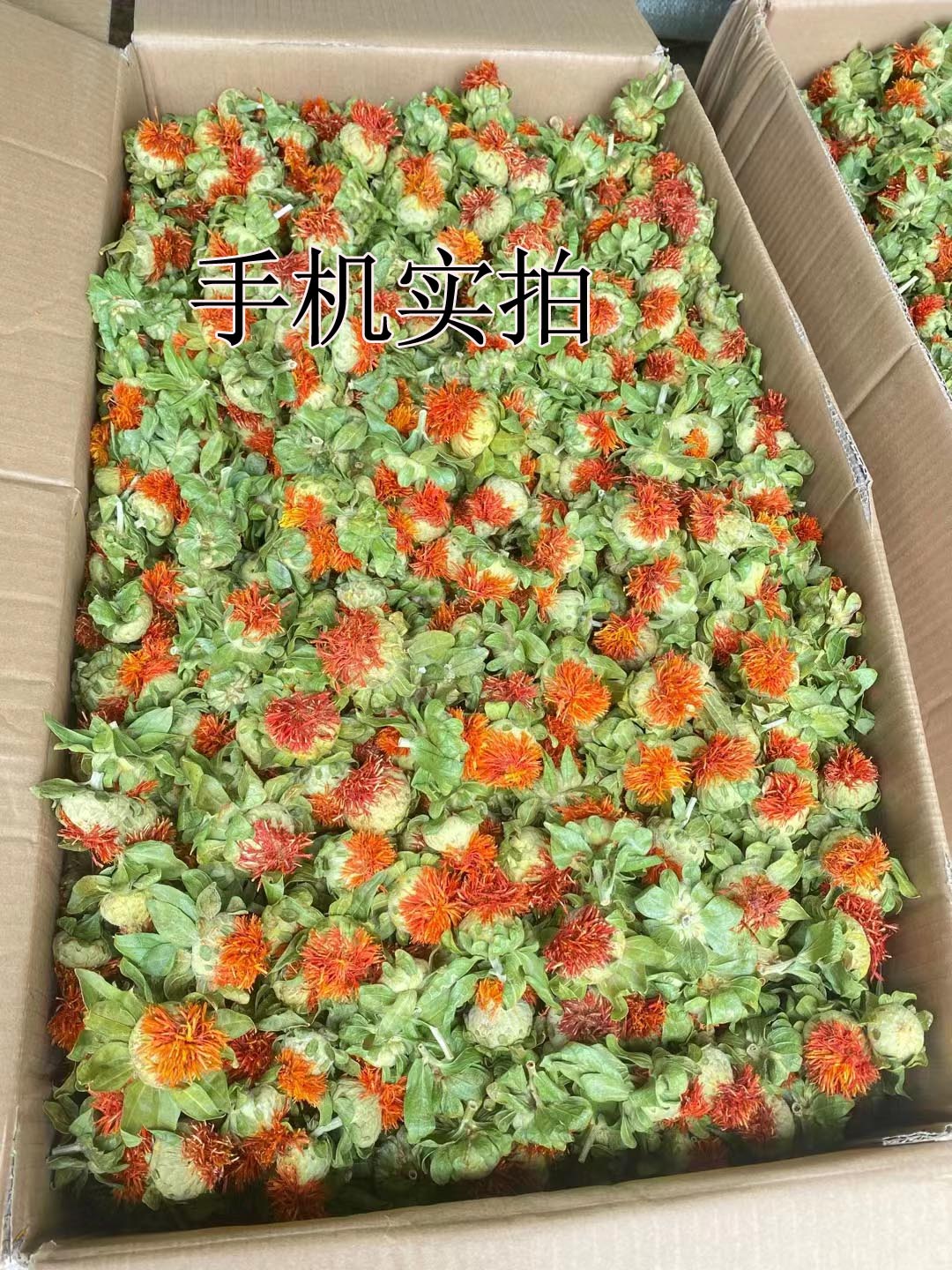 西藏野生藏红花正品红花果泡水特级网红花茶红花头茶整朵500克 - 图3