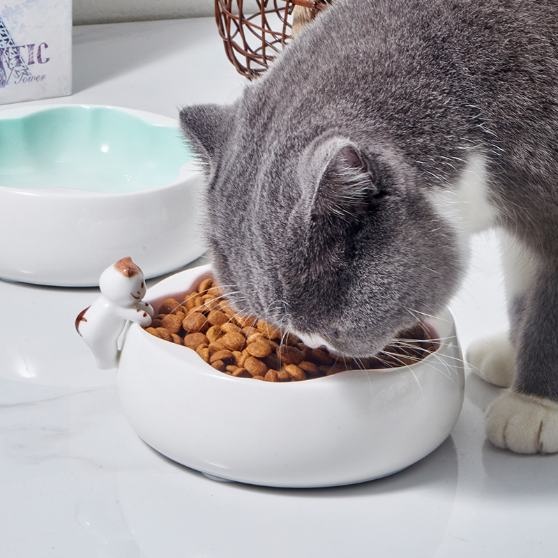 hocc矮脚猫猫粮盆猫盆食盆网红猫碗陶瓷猫碗扁脸不湿嘴水碗樱花碗-图0