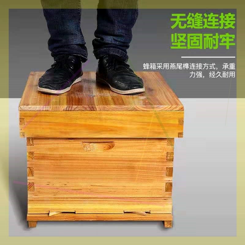 蜂箱全专蜜蜂Z箱带框r巢础养蜂工具蜡品套用杉木煮成平箱诱蜂