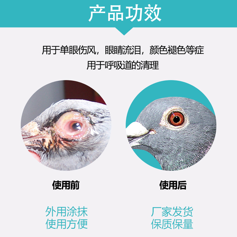 心连心鸽药鸽子鹦鹉鸟专用眼药水单眼伤风眼睛流泪红肿褪色一滴灵