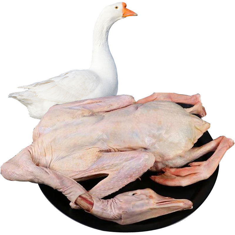 Big geese are freshly killed, farm-raised and frozen
