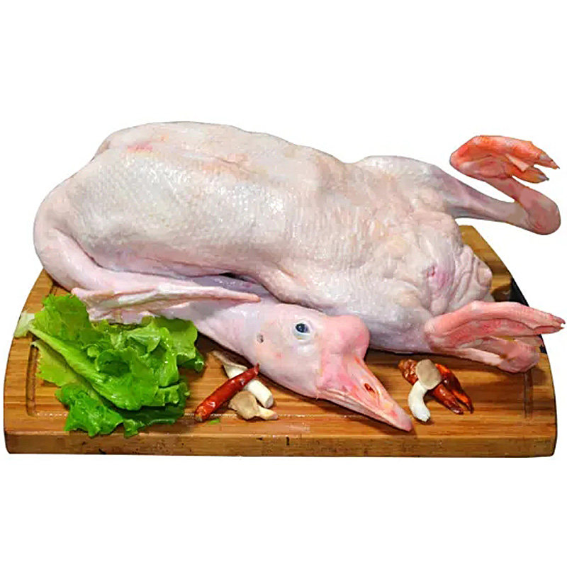 Big geese are freshly killed, farm-raised and frozen