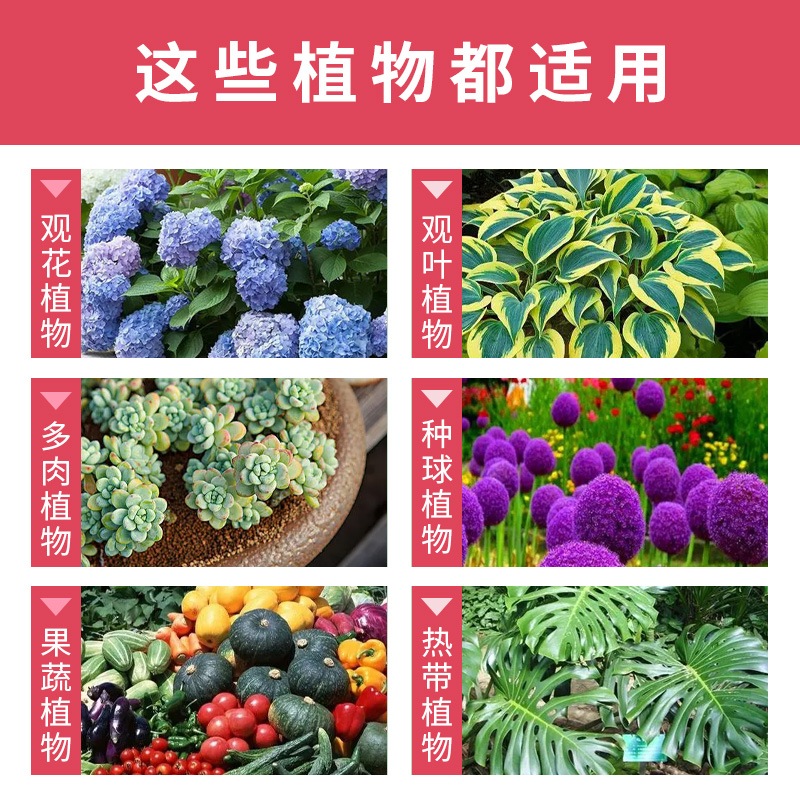 花肥家用通用型花卉绿箩肥料植物颗粒缓释肥速效全能型三元复合肥 - 图1