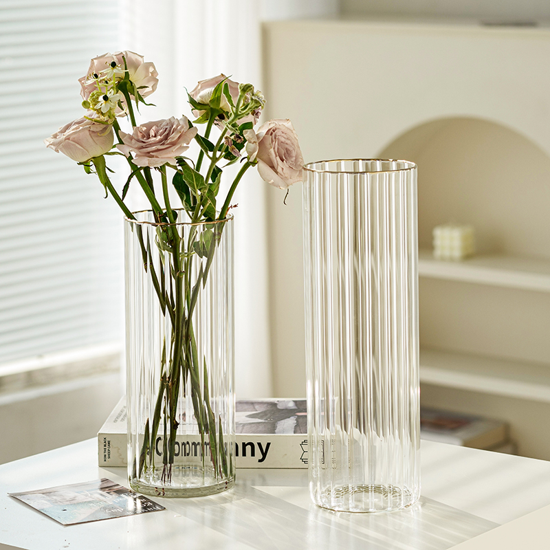 ins风高级感欧式网红花瓶客厅插花玻璃透明水培水养鲜花瓶摆件 - 图2
