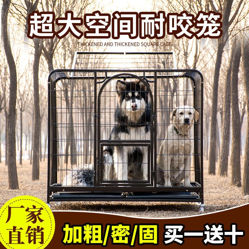 狗笼子大型犬金毛中型犬萨摩耶边牧拉布拉多阿拉斯加哈士奇狗笼子-图3