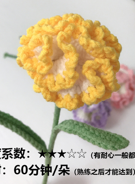 康乃馨手工钩织花束材料包教师节