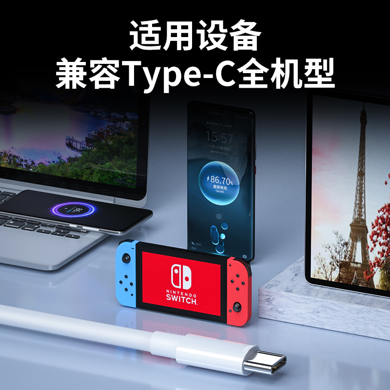 双头typec数据线tapec双pd快充tpyec适用ipad小米pro华为tpc手机车载充电器线两头苹果笔记本电脑双向cto闪充 - 图2