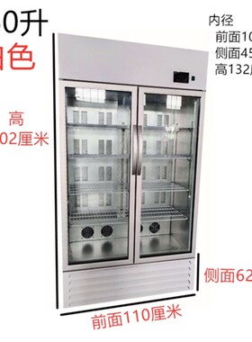 60度商用熟食恒温柜早餐粥饮料牛奶加热箱外卖便当盒饭保温柜大型