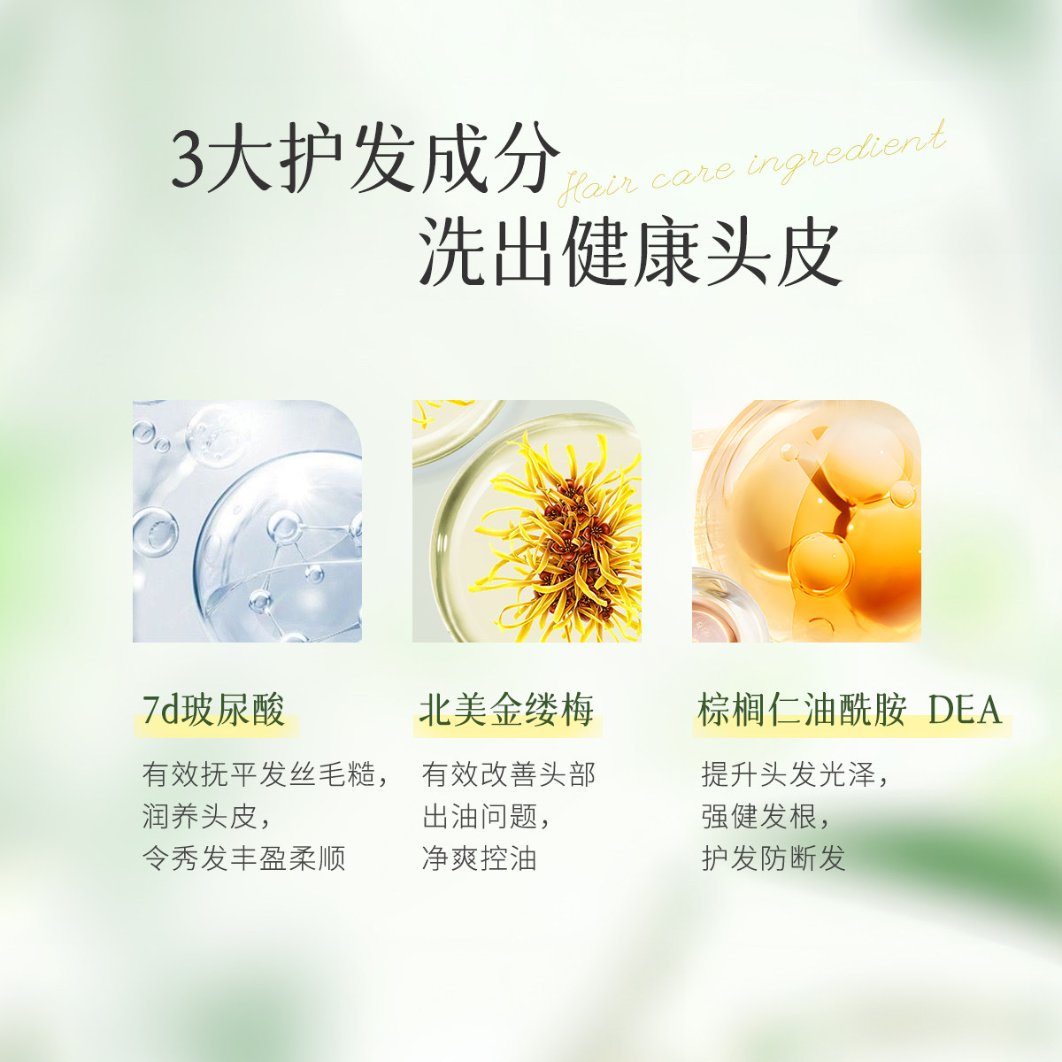 夏伯雅莲依兰精油洗发水中样氨基酸沐浴露控油去屑男女旅行装60g,淘宝优惠券,粉丝福利购,淘宝优惠卷