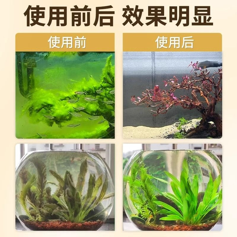 鱼缸除藻剂片剂去苔剂净青苔清除剂褐藻绿水藻去除水草不伤鱼神器,淘宝优惠券,粉丝福利购,淘宝优惠卷