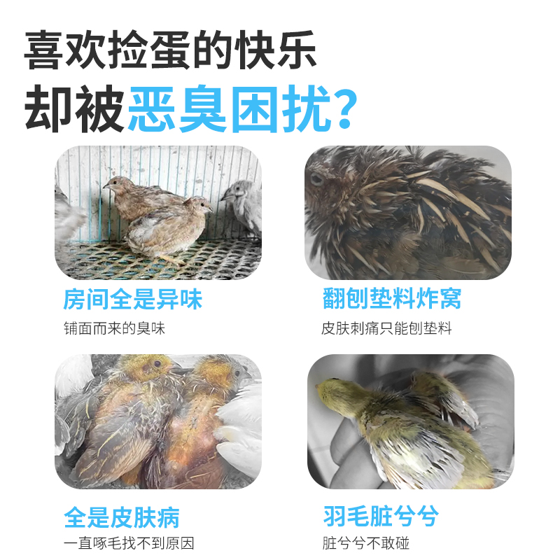 芦丁鸡洗澡沙除臭浴沙浴砂盆透明躲避小屋造景用品鹌鹑卢丁鸡窝-图1