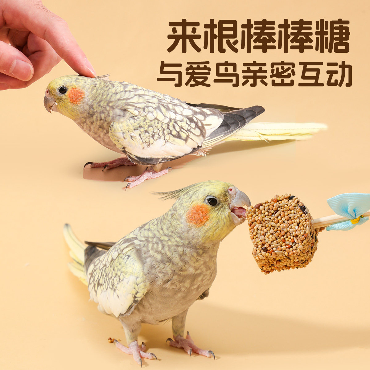 鹦鹉训练奖励零食逗鸟棒谷物磨牙棒虎皮牡丹玄凤专用鸟粮啃咬玩具,淘宝优惠券,粉丝福利购,淘宝优惠卷