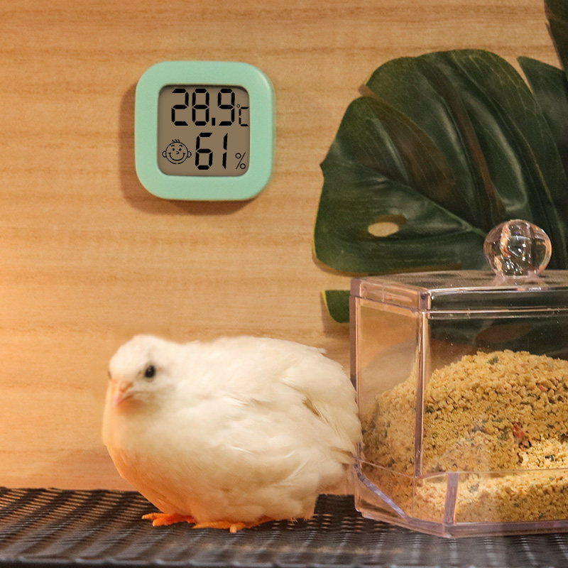 芦丁鸡温度计造景用品饲养箱小屋育雏科尔鸭小鸡卢丁宠物鸟类专用,淘宝优惠券,粉丝福利购,淘宝优惠卷