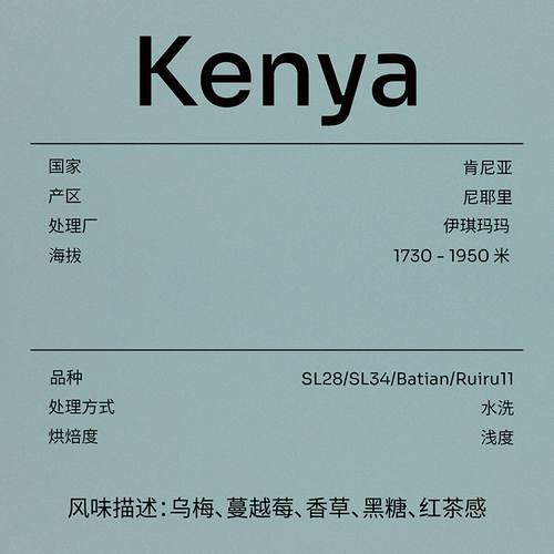 SLABTOWN石板城 乌梅香草黑糖 肯尼亚伊琪玛玛浅烘手冲新鲜咖啡豆 - 图2