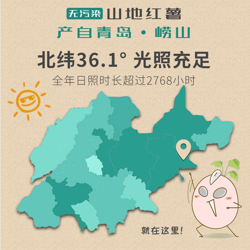 山东粉皮白蜜薯白心薯山地新鲜板栗 果恰恰番薯