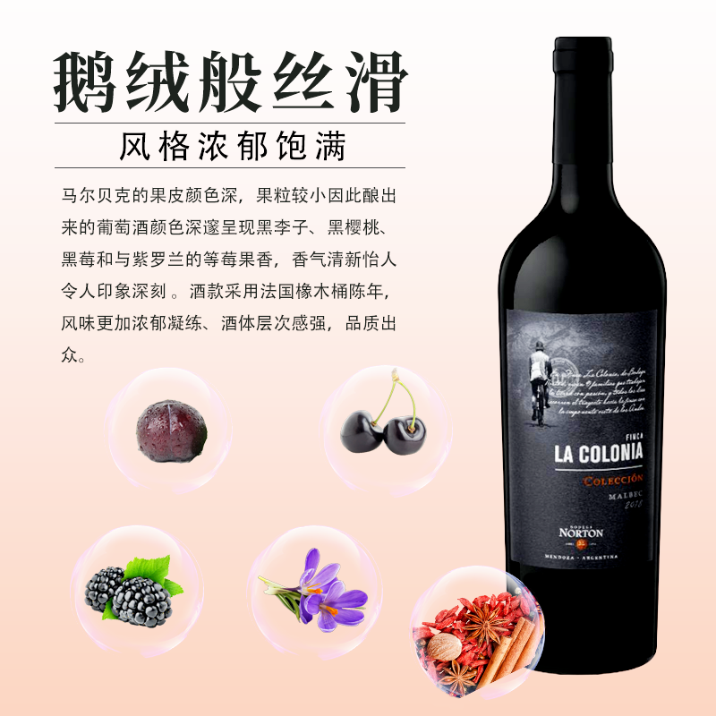 ASC进口阿根廷红酒门多萨诺顿酒庄马尔贝克干红葡萄酒单支 750ml-图1